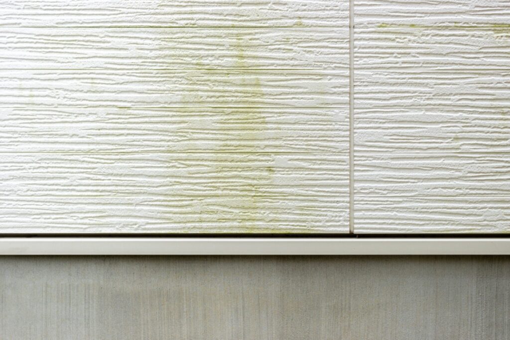 苔の生えた住宅の外壁