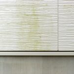 外壁のコケ掃除はどうやるの?根本的な原因やNGな洗い方