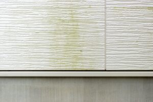 外壁のコケ掃除はどうやるの？根本的な原因やNGな洗い方