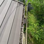 【新城市】落ち葉が詰まって困ったら「雨樋清掃」で問題解消