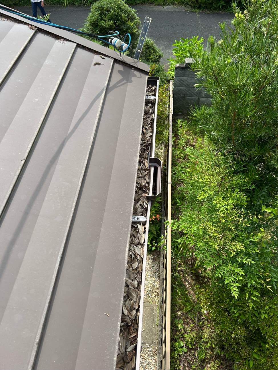 【新城市】落ち葉が詰まって困ったら「雨樋清掃」で問題解消