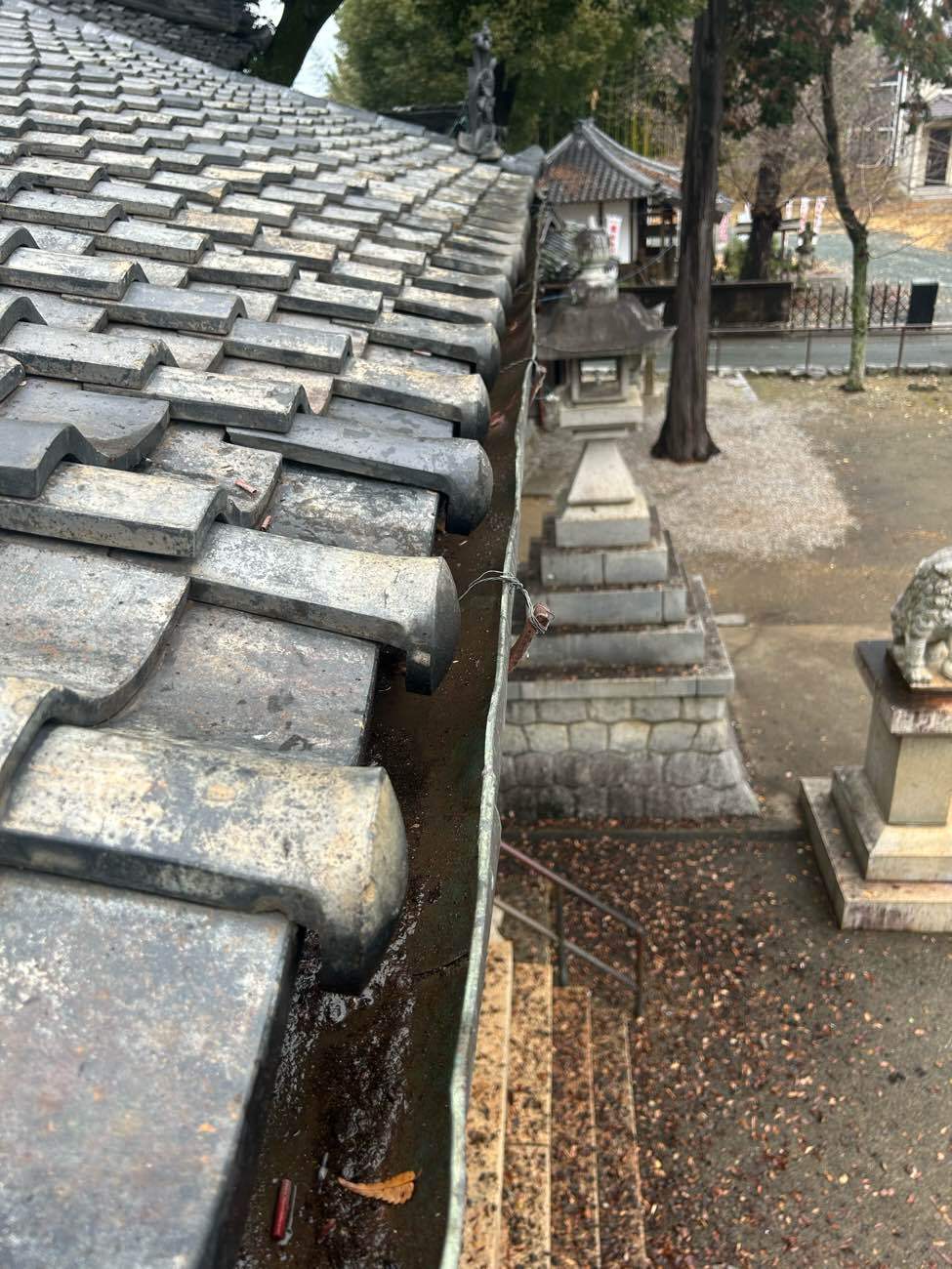 【豊川市】新年を気持ちよく、神社の「屋根・雨とい清掃」