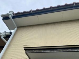 雨樋（雨どい）清掃ってどうして大切なの？いつするのがおすすめ？
