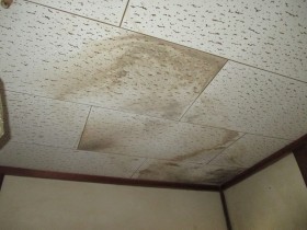 雨水は漏っていないけど、天井や壁にシミがある